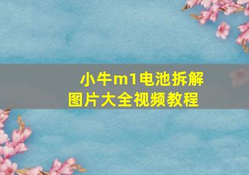 小牛m1电池拆解图片大全视频教程