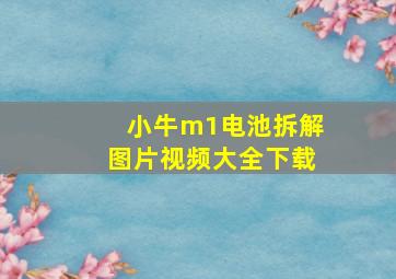 小牛m1电池拆解图片视频大全下载