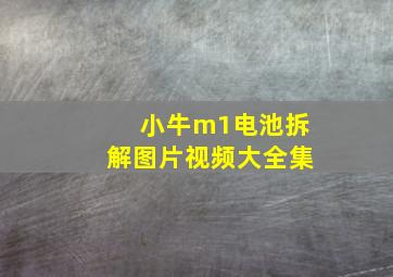 小牛m1电池拆解图片视频大全集