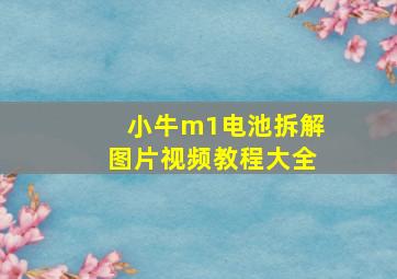 小牛m1电池拆解图片视频教程大全