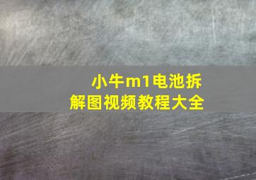 小牛m1电池拆解图视频教程大全