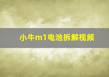 小牛m1电池拆解视频