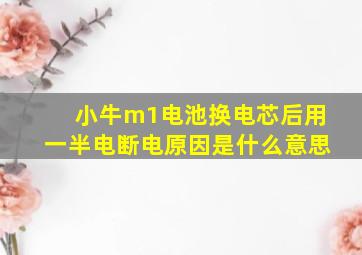 小牛m1电池换电芯后用一半电断电原因是什么意思