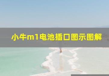 小牛m1电池插口图示图解