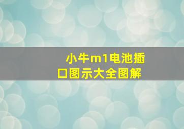 小牛m1电池插口图示大全图解