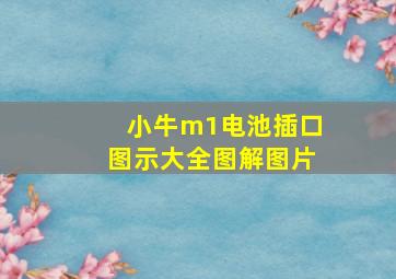 小牛m1电池插口图示大全图解图片