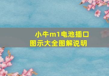 小牛m1电池插口图示大全图解说明