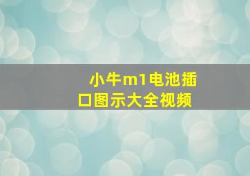 小牛m1电池插口图示大全视频