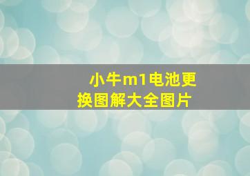 小牛m1电池更换图解大全图片