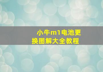 小牛m1电池更换图解大全教程