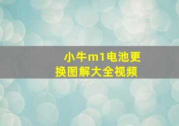 小牛m1电池更换图解大全视频