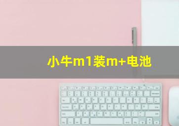 小牛m1装m+电池