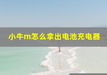 小牛m怎么拿出电池充电器