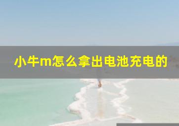 小牛m怎么拿出电池充电的