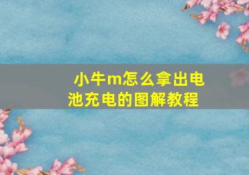 小牛m怎么拿出电池充电的图解教程