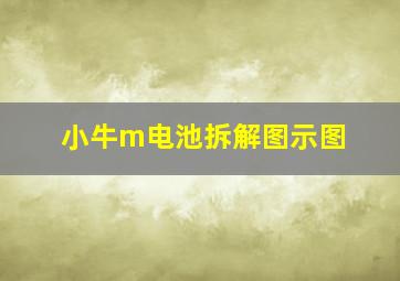 小牛m电池拆解图示图