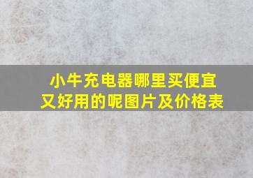 小牛充电器哪里买便宜又好用的呢图片及价格表