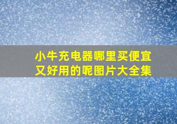 小牛充电器哪里买便宜又好用的呢图片大全集