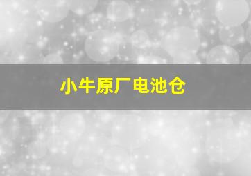 小牛原厂电池仓