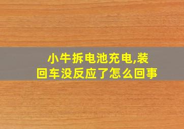 小牛拆电池充电,装回车没反应了怎么回事