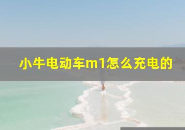 小牛电动车m1怎么充电的