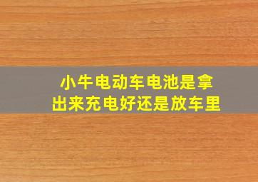 小牛电动车电池是拿出来充电好还是放车里