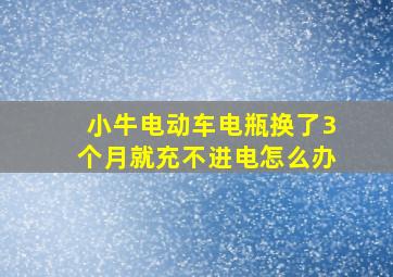 小牛电动车电瓶换了3个月就充不进电怎么办