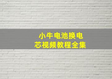 小牛电池换电芯视频教程全集