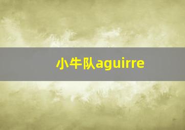 小牛队aguirre