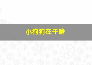 小狗狗在干啥