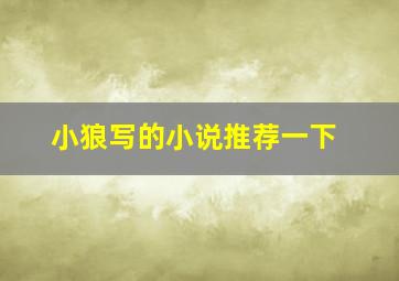 小狼写的小说推荐一下