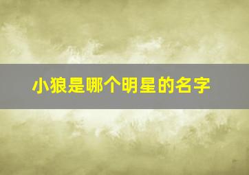 小狼是哪个明星的名字