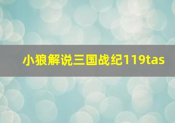 小狼解说三国战纪119tas