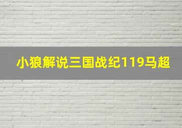 小狼解说三国战纪119马超