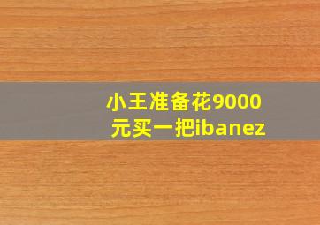 小王准备花9000元买一把ibanez