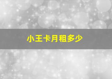 小王卡月租多少