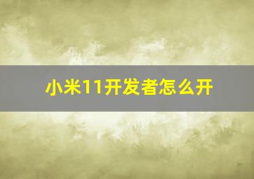 小米11开发者怎么开