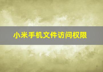 小米手机文件访问权限