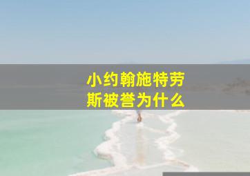 小约翰施特劳斯被誉为什么