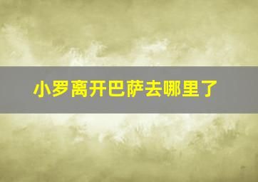 小罗离开巴萨去哪里了