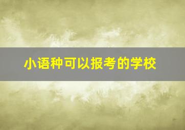 小语种可以报考的学校