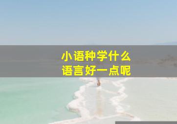 小语种学什么语言好一点呢