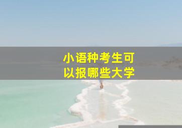 小语种考生可以报哪些大学