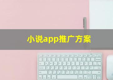 小说app推广方案