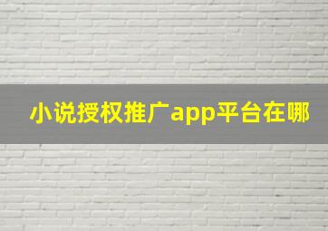 小说授权推广app平台在哪