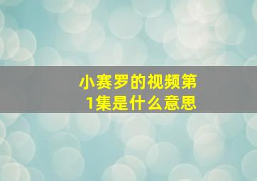 小赛罗的视频第1集是什么意思