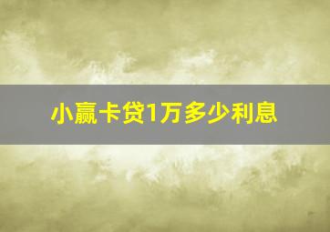 小赢卡贷1万多少利息