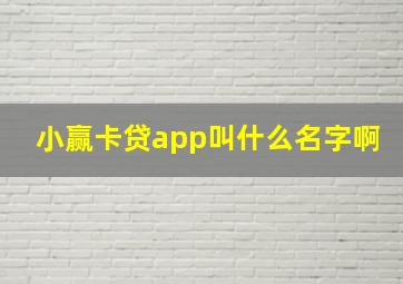 小赢卡贷app叫什么名字啊