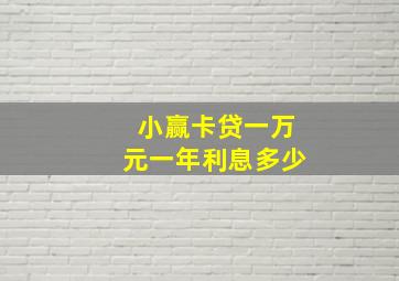 小赢卡贷一万元一年利息多少