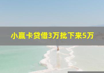 小赢卡贷借3万批下来5万